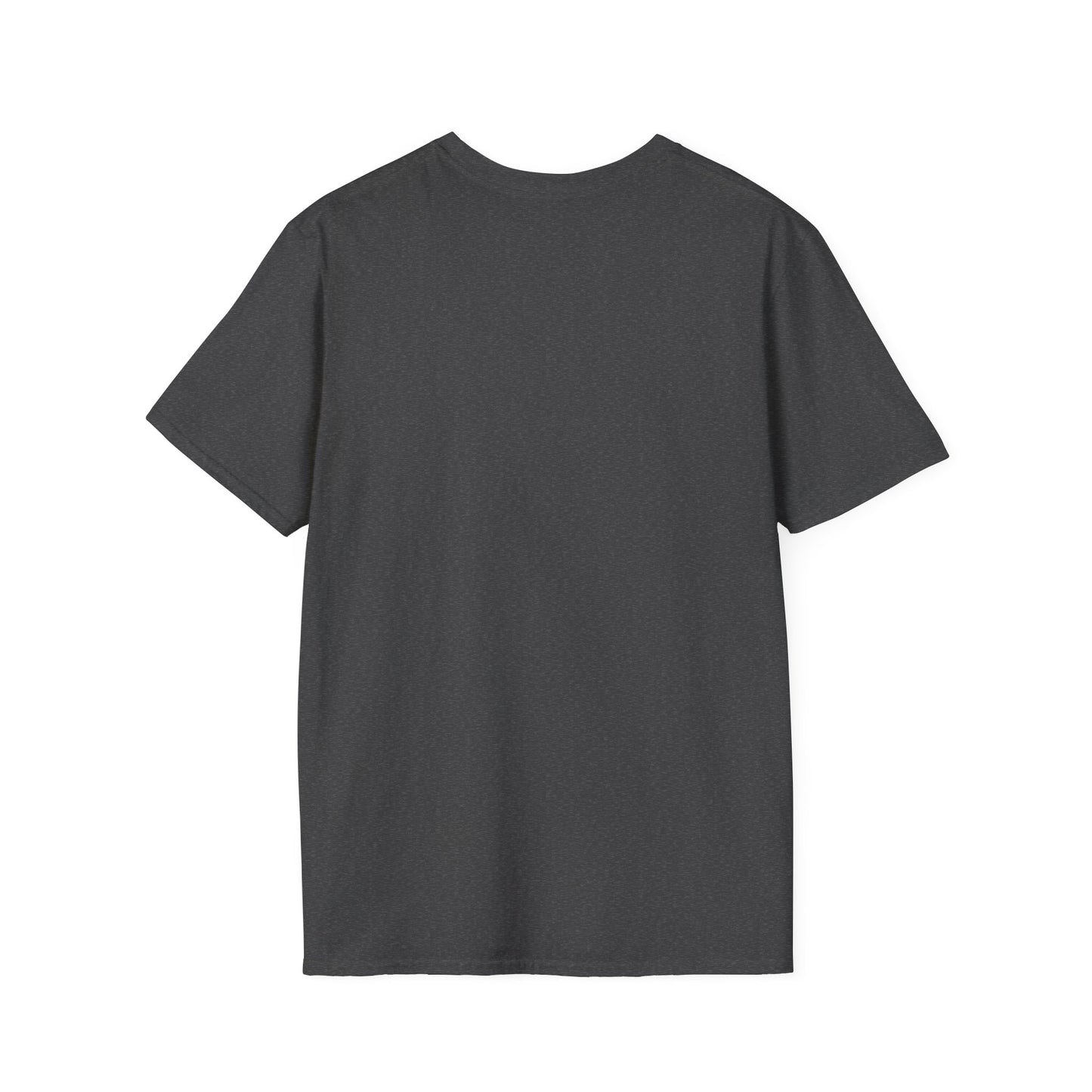 T-Shirt — “All We Wanted Was Privacy During Our Mating Season” Funny Turtle Graphic Tee